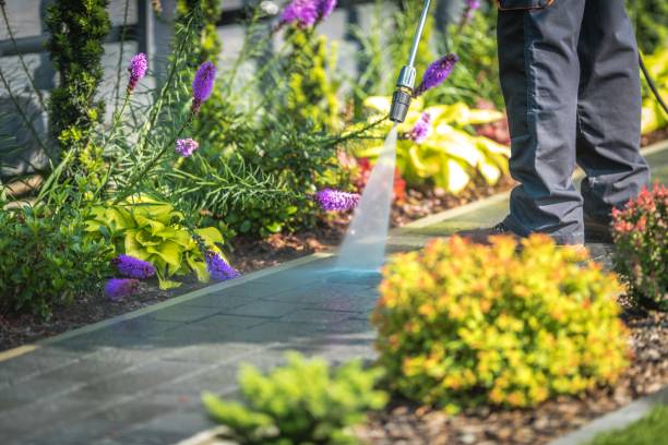 Best Fence Cleaning  in Reinholds, PA