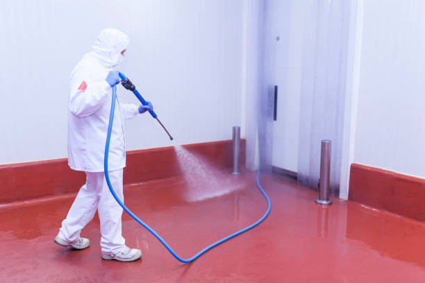 Professional Pressure Washing Services in Reinholds, PA