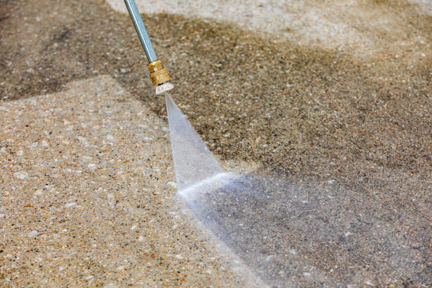 Best Soft Washing  in Reinholds, PA