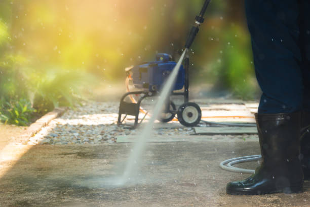 Best Roof Washing  in Reinholds, PA